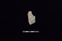 陶片藏品圖，第2張